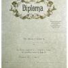 Series 200 Diplomas Option A