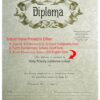 Series 200 Diplomas Option B
