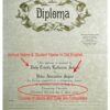 Series 200 Diplomas Option C