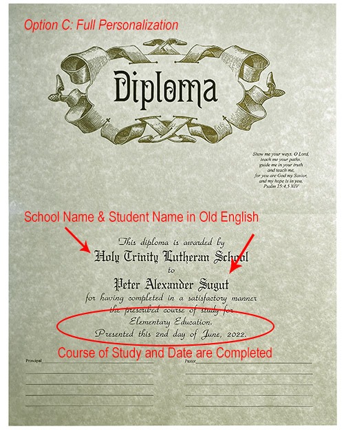 Series 200 Diplomas Option C